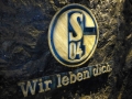 Foto 2016-06-12 Schalke 012