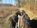 IMG-20260414-WA0005