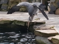 20180415_195013